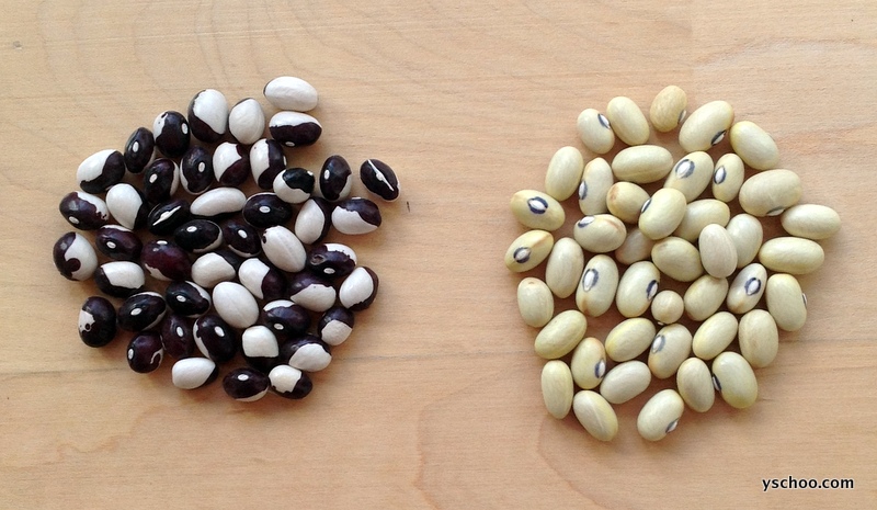 The Long Winter of&nbsp;Beans