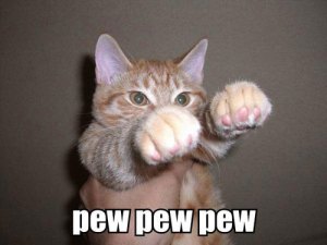 Catpic