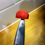 Mushroom3-001