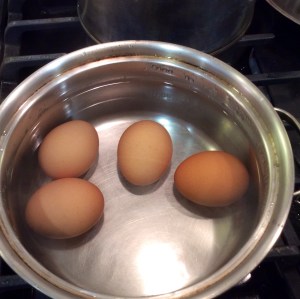 PoachedEggs